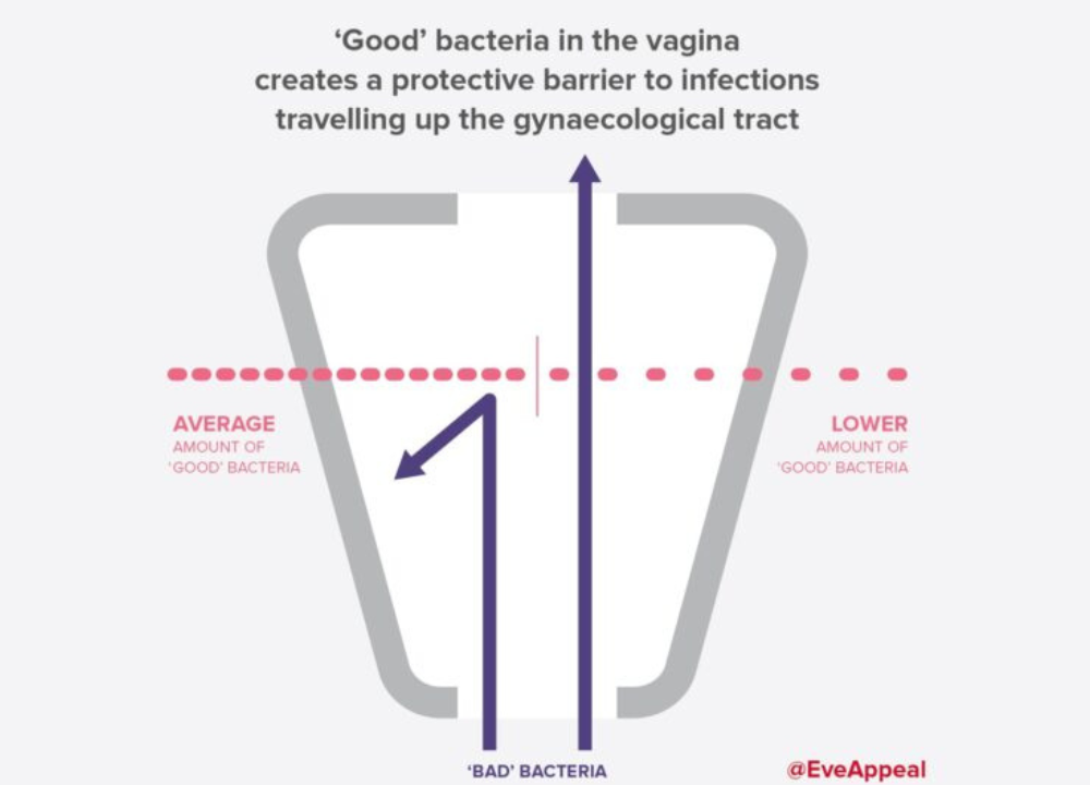 Good bacteria in the vagina creates a protective barrier to infections travelling up the gynaecological tract
