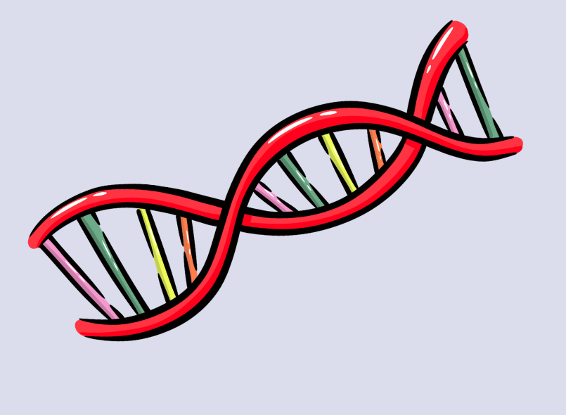 illustration of DNA