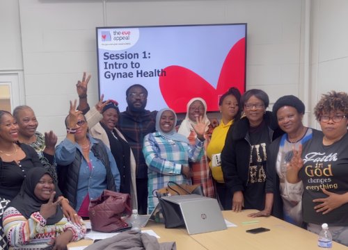Image of participants at a workshop for intro to gynae health