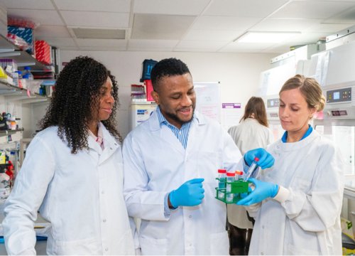 Image of researchers at Birmingham University